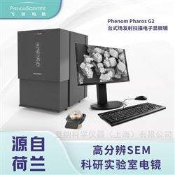 Phenom Pharos G2科研實驗室高分辨SEM觀察用飛納