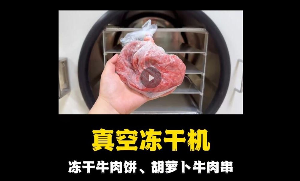 真空凍干機凍干牛肉餅、胡蘿卜、牛肉串
