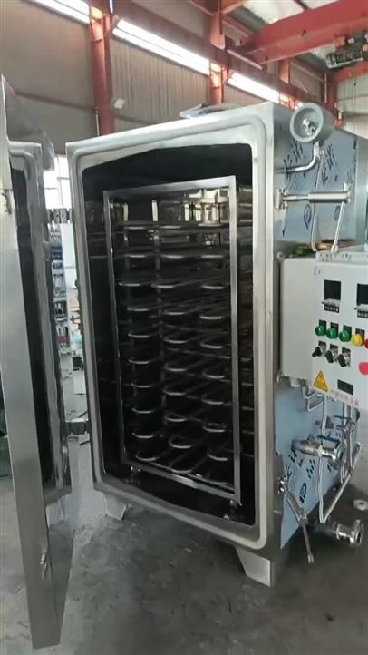 防爆型  電加熱真空干燥機