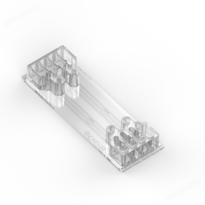 BE-GRADIENT微流控芯片-器官芯片
