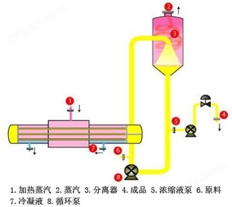 強(qiáng)制循環(huán)蒸發(fā)器