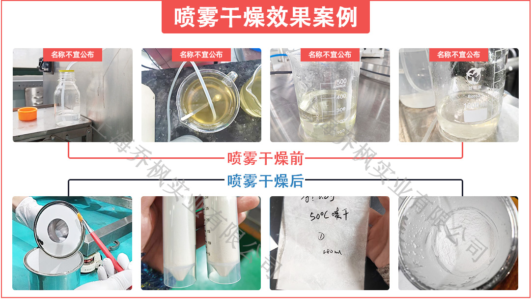 低温 闭式循环喷雾干燥机 生成厂家